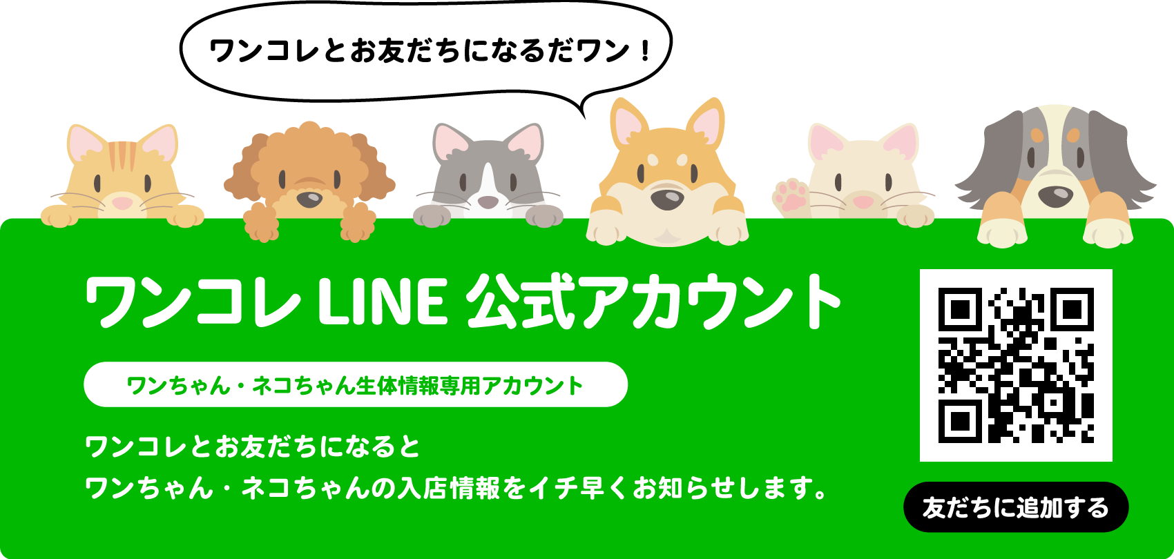 LINE公式アカウントお友だち募集中