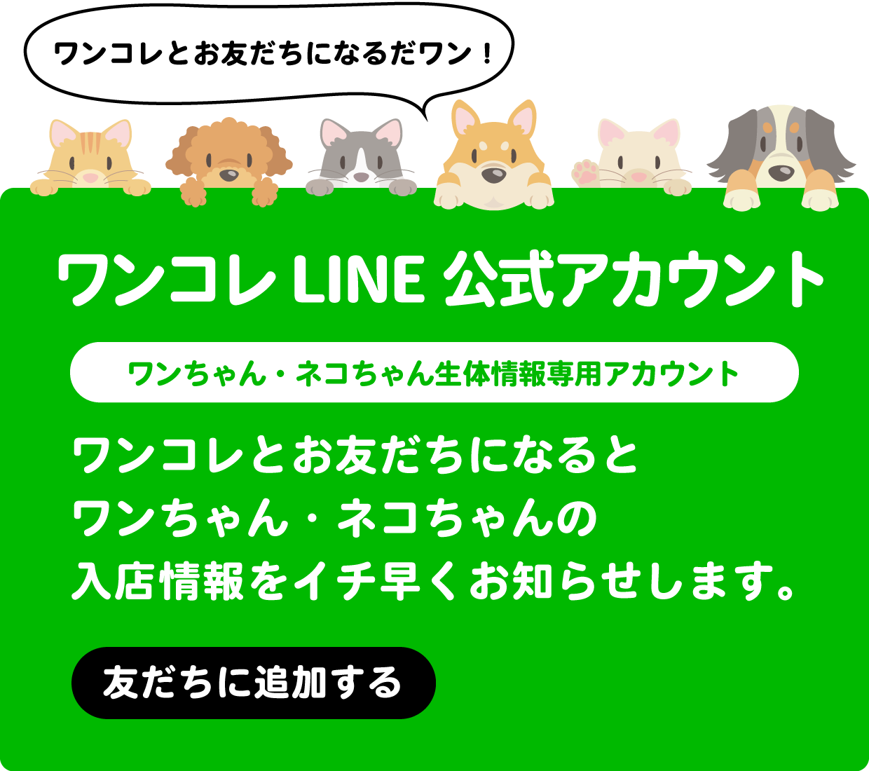 LINEアカウント