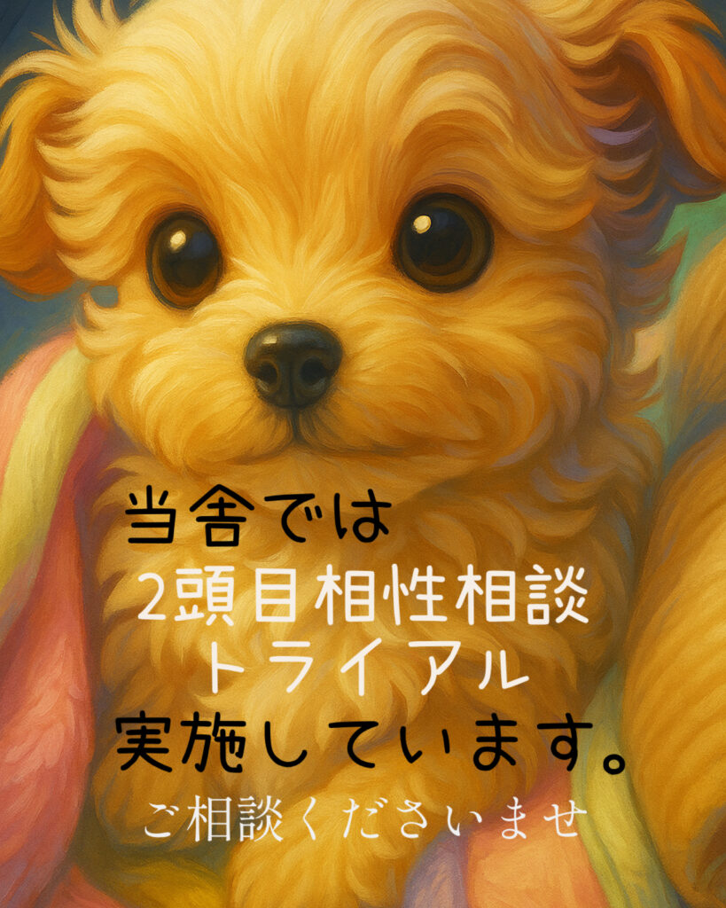 今週のワンコレ！素敵なお知らせ！