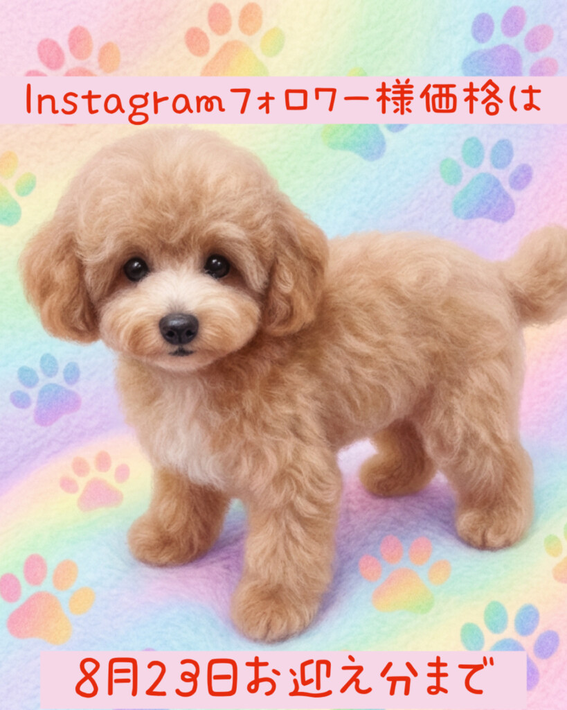 今週のワンコレ！素敵なお知らせ！